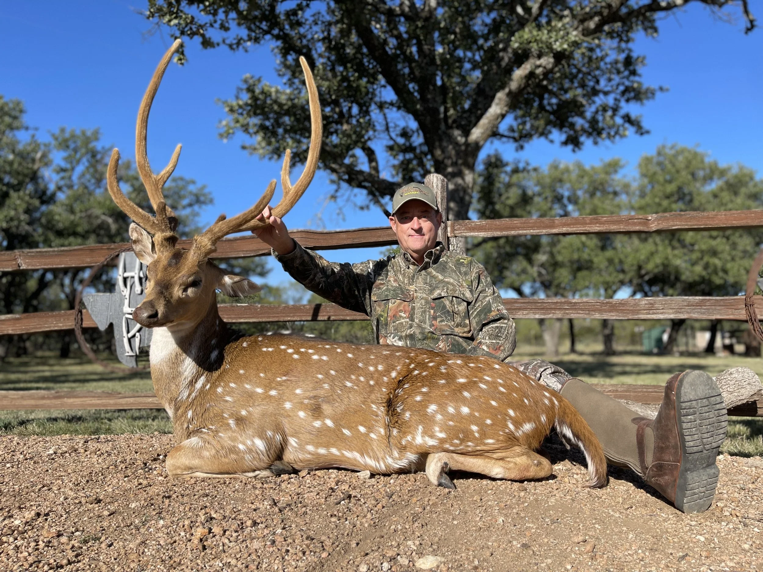 Mike Wilson Axis buck.jpeg