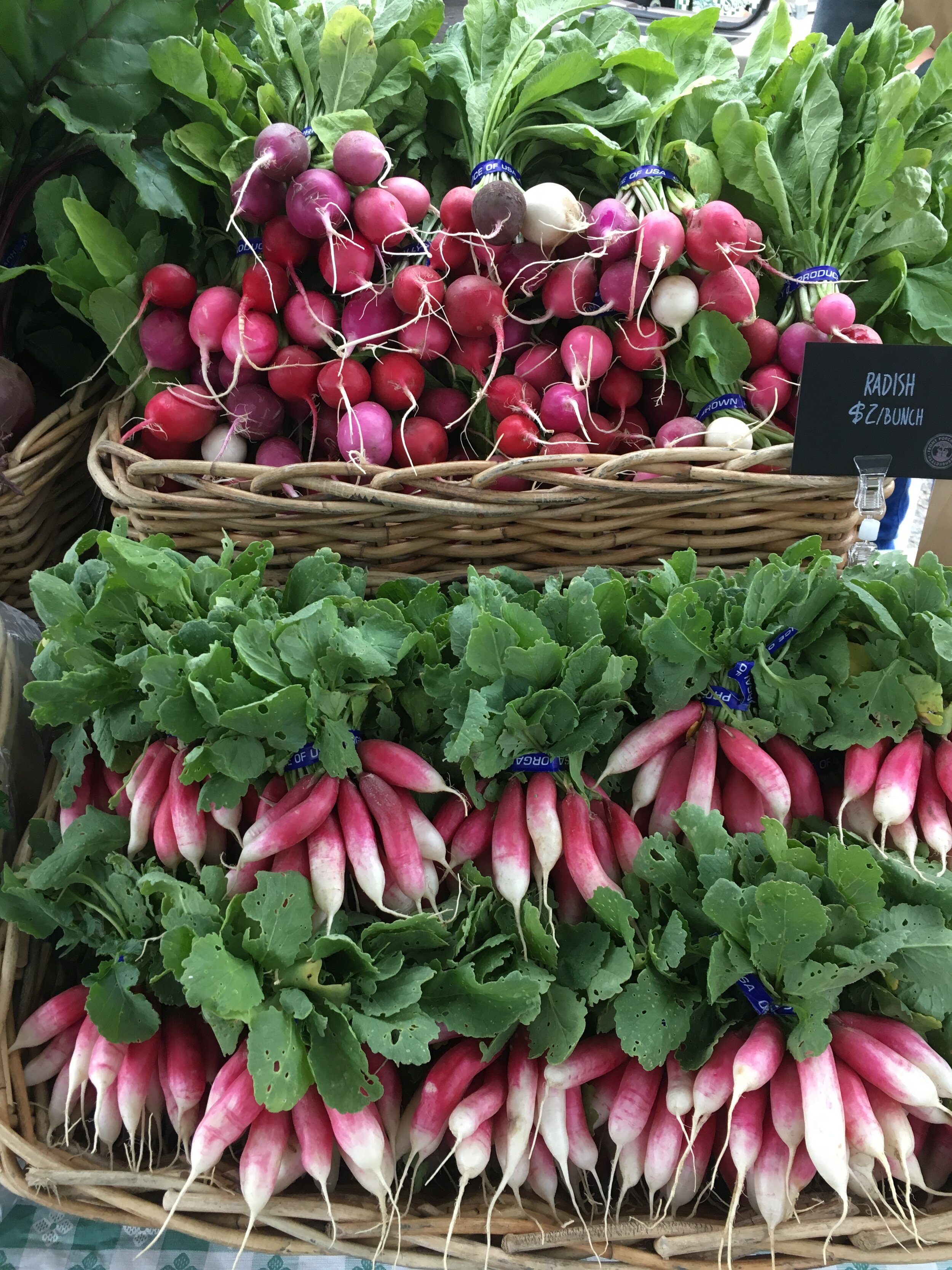market radishes.JPG