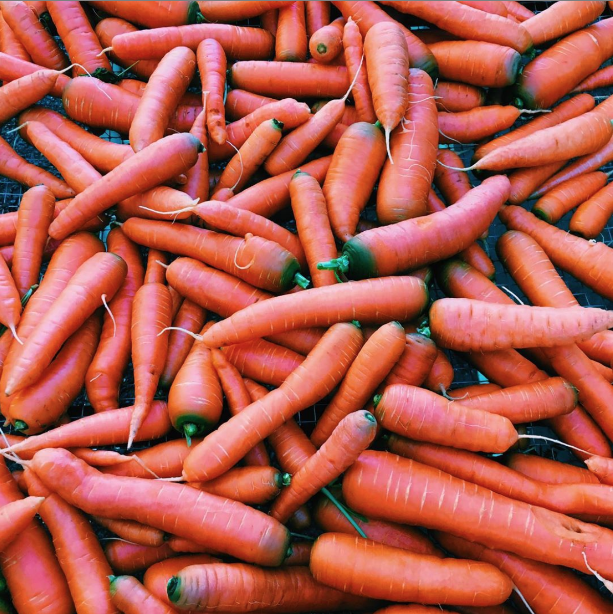 carrots.png