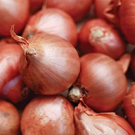shallots.jpg