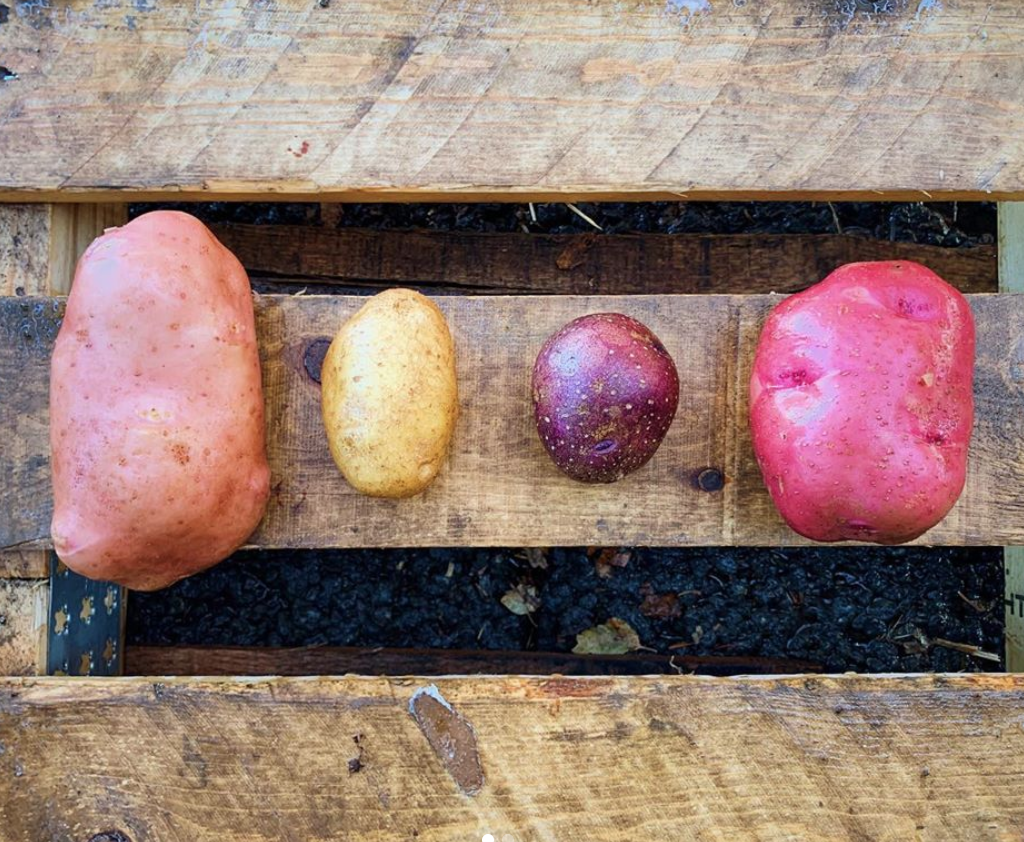 potatoes.png