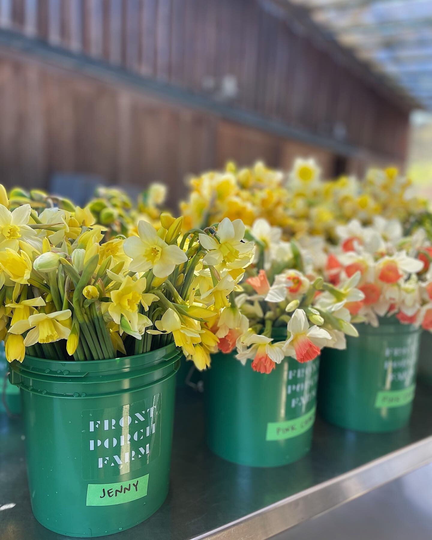 🌼Spring flowers are here!! 🌸
Brave the rain and come out to the San Rafael Farmers&rsquo; Market tomorrow to snap up gorgeous daffodils, ranunculus, anemones, poppies and more!!
.
.
.
#springflowers
#daffodils
#organicflowers
#knowyourfarmer
#fpfar
