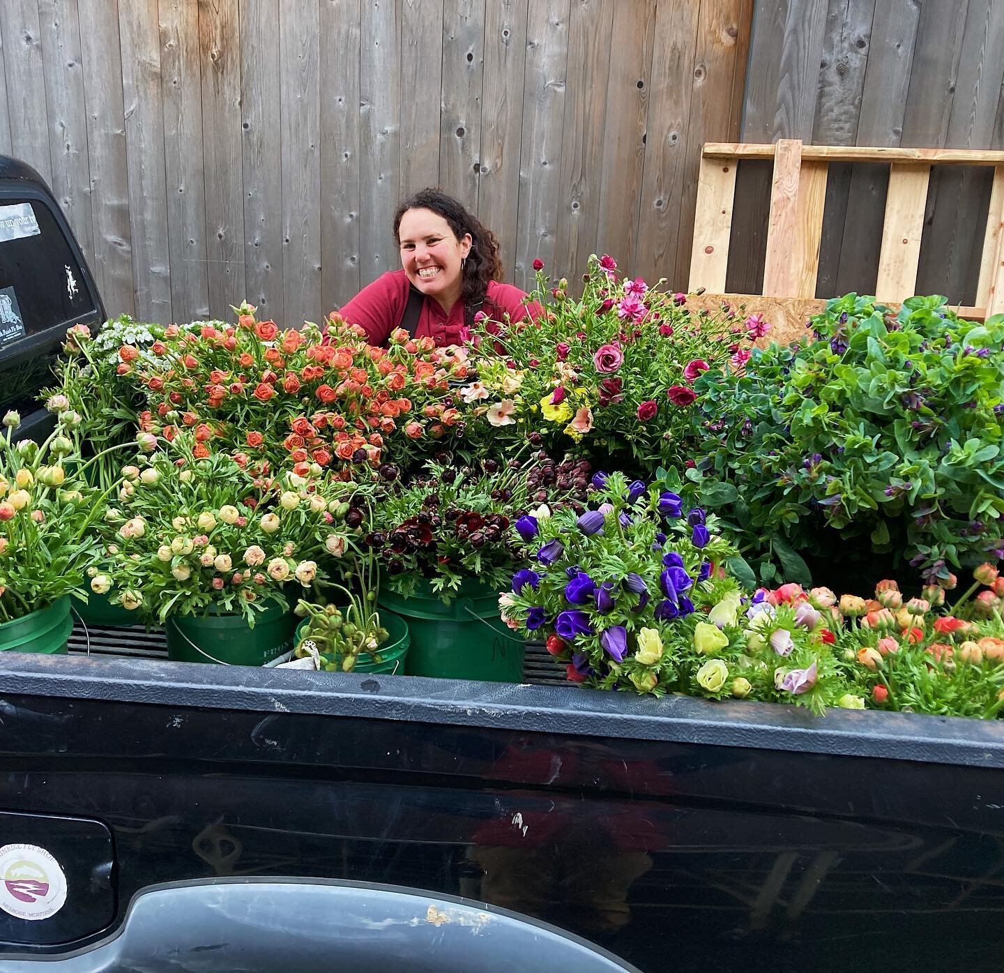 Elena bringing in a literal truckload of flowers 🤩
.
.
.
#organicflowers
#springshowers
#knowyourfarmer
#fpfarm