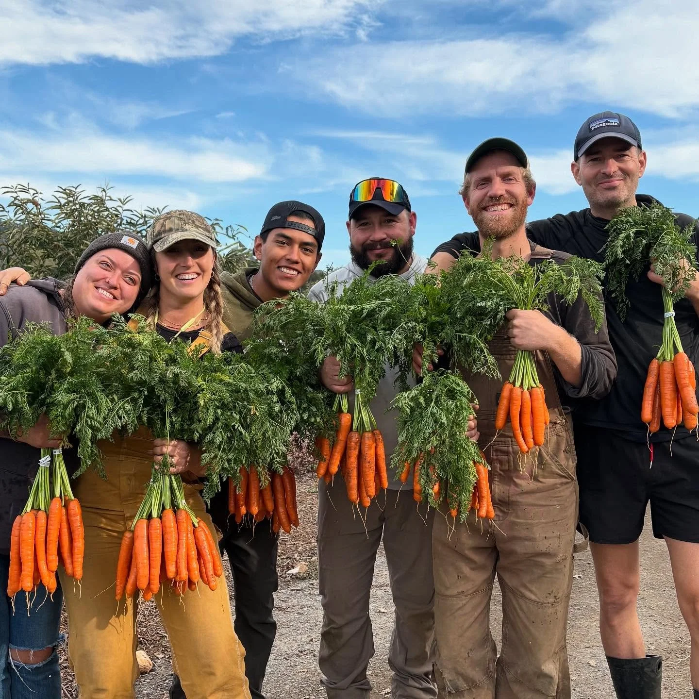 Carrots carrots carrots! 🥕
This crew has been hustling to dig, bunch and wash these beauties for your weekend enjoyment!
Pick some up at this weekend’s markets:
Saturday in Healdsburg, Sunday in San Rafael!
🧡
.
.
.
#organiccarrots 
#nantes
#k