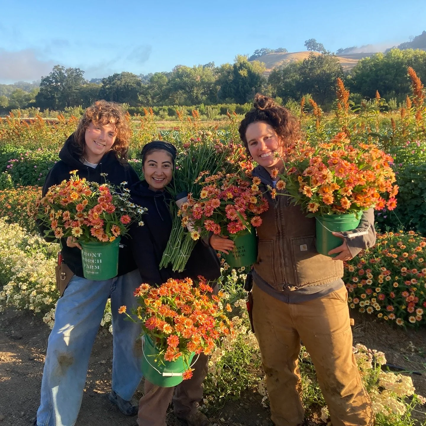 Introducing: Flower School!🌸📚

Take your farming knowledge to the next level with the Front Porch Farm Flower School: an in-depth, hands-on course in sustainable cut-flower production. 

Deepen your skills in:

&bull; Crop planning
&bull; Propagati