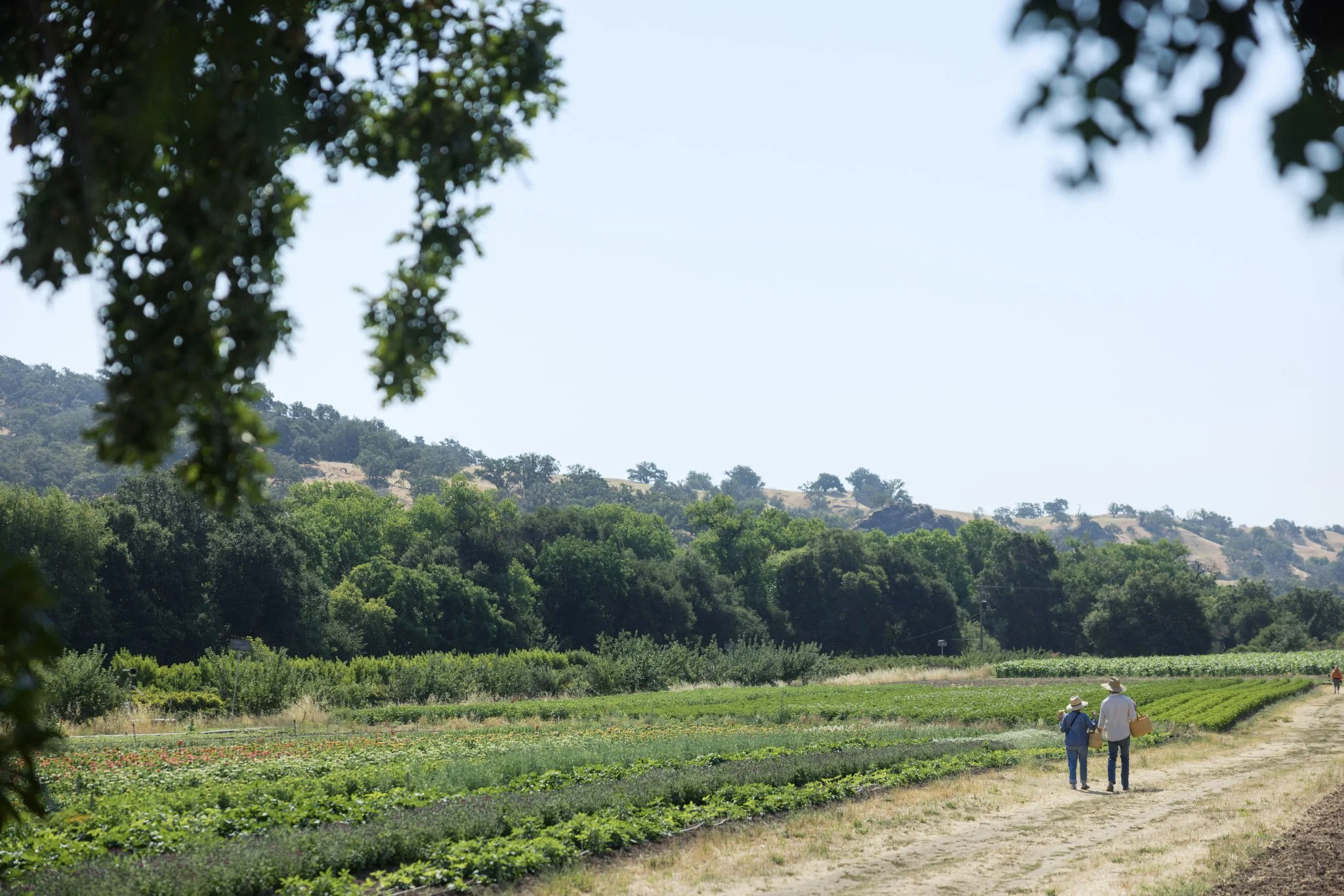 001_Front_Porch_UPick_07122025_paigegreen_U6A1492 (1).jpg