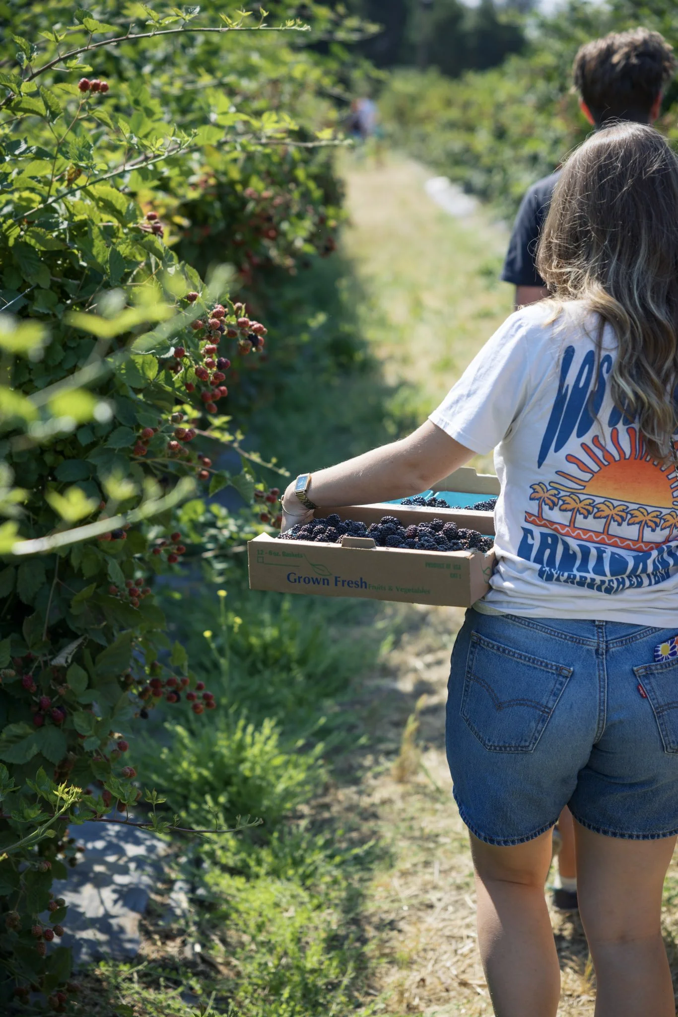 040_Front_Porch_UPick_07122025_paigegreen_U6A1558 (1).jpg