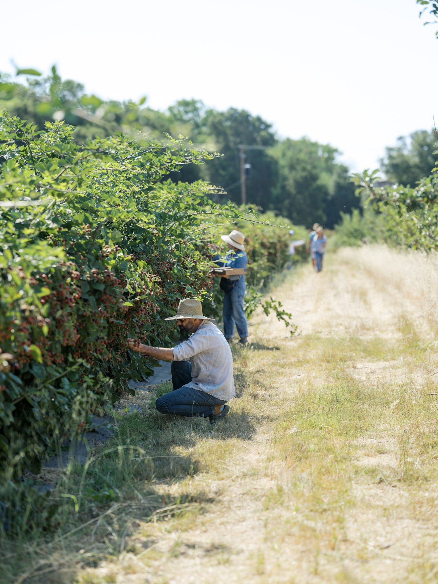 029_Front_Porch_UPick_07122025_paigegreen_DSF7349 (1).jpg