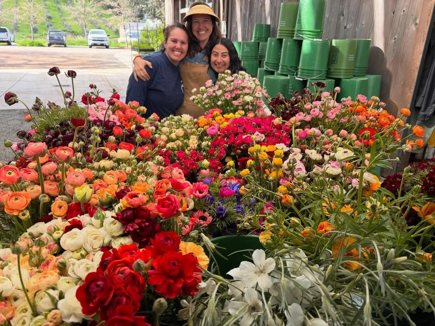 🌸ITS HAPPENING!🌸
Spring flowers are here in force! Come by our farmers market for peak blooms: ranunculus, poppies, daffodils, dianthus, digitalis, anemones and more!
.
.
.
#organicflowers
#springflowers
#knowyourfarmer 
#fpfarm