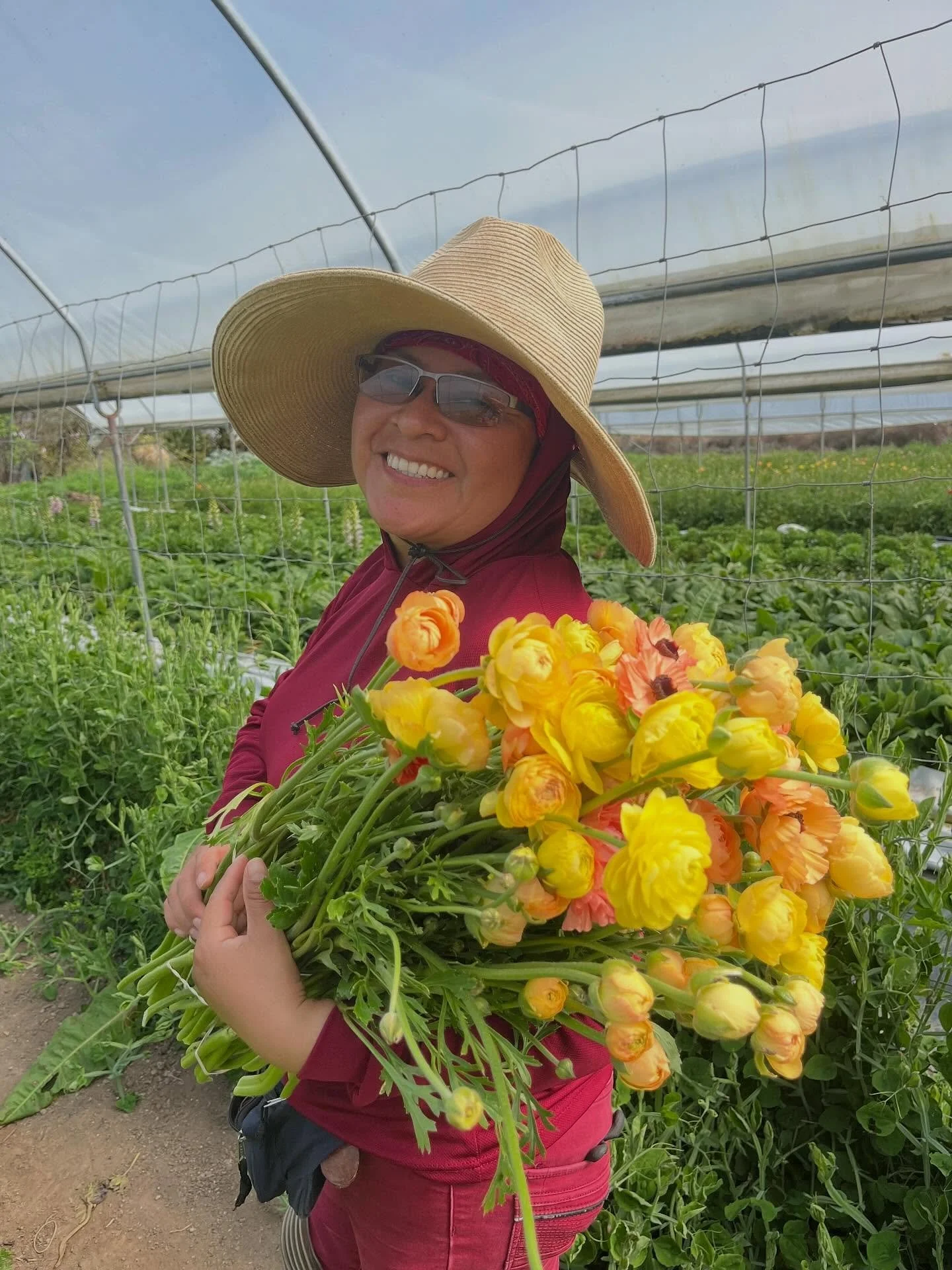 Farm views recently&hellip;. 🥰
.
.
.
#organicflowers
#organicveggies
#ranunculus
#eastereggradish 
#daffodils 
#asparagus 
#fpfarm