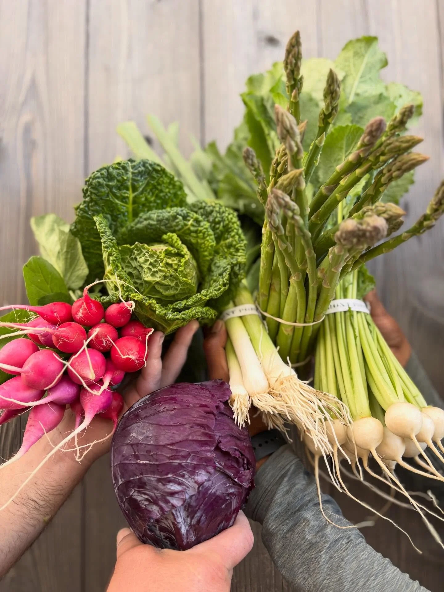 SPRING THINGS! 🌸🫜
Come by the San Rafael Farmer&rsquo;s Market tomorrow for So! Many! Spring! Beauties!
8 am - 1 pm
@aginstituteofmarin 
.
.
.
#springflowers
#ranunculus
#greengarlic
#asparagus
#fpfarm