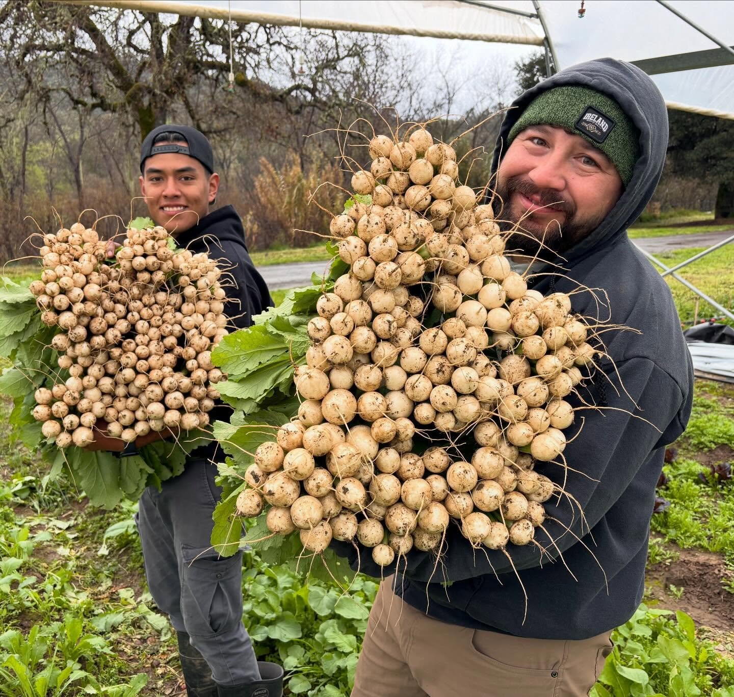 Come to the San Rafael market tomorrow to load up on beautiful and yummy treats for your loved ones (yourself included!!)

🥦 broccoli
🥕 carrots
🫜 radishes
⚪️ turnips
💗radicchio
🎃squash
🟢asparagus
🥬lettuce
🥔potatoes
🟣cabbage
🌸gorgeous spring