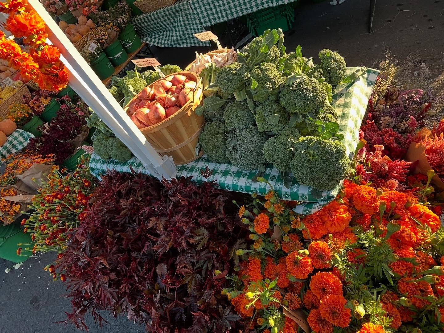 San Rafael Market today! 8 am - 1 pm 🍁

So much delicious fall produce (Cabbage! Broccoli! Carrots! Potatoes! Lettuce! Squash!) and gorgeous fall flowers (Marigolds! Chrysanthemums! Amaranth! Roses! Zinnias!) this time of year!

Show us your SNAP ca