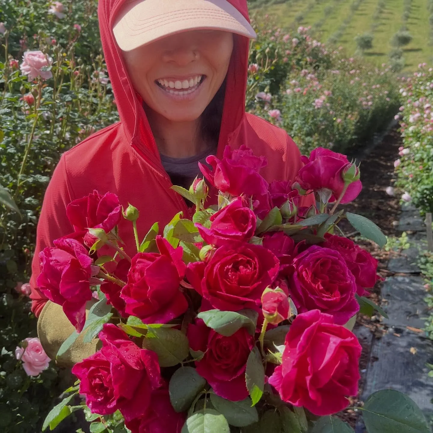 Spring flowers have us 🤩
Tons of gorgeous blooms (garden roses, peonies, foxglove and more!) headed to markets this week!
.
.
.
#organicflowers 
#gardenroses 
#knowyourfarmer
#fpfarm
