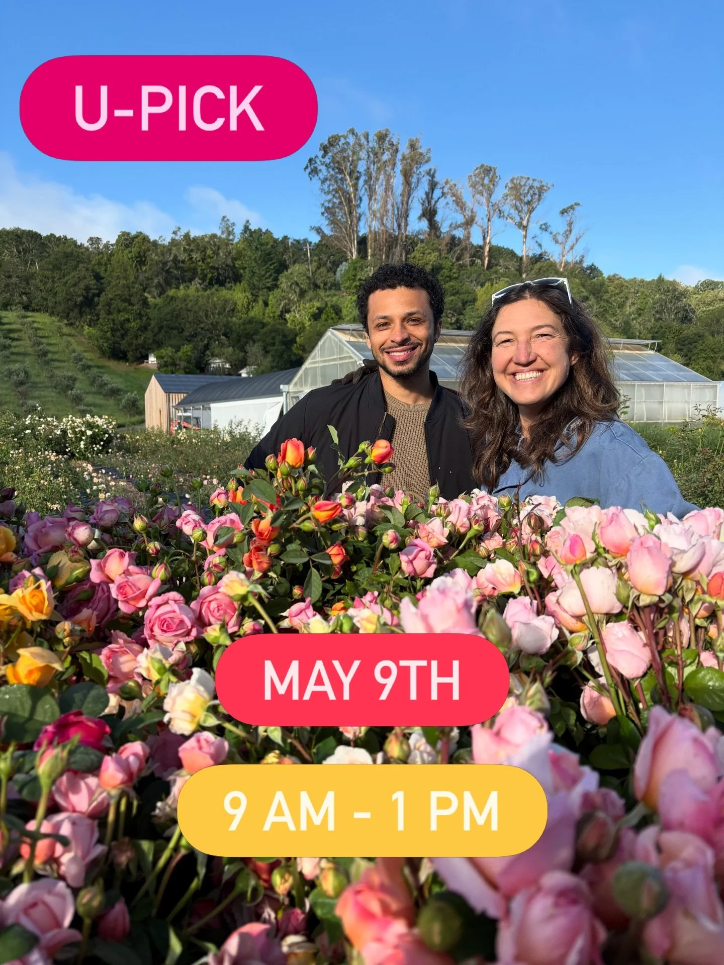 💗U-Pick Alert!💗
⏰When: TOMORROW Saturday, May 9th &bull; 9 am - 1 pm
🌼Where: Front Porch Farm
🍅What: U-Pick our gorgeous spring flowers for Mother&rsquo;s Day weekend! Shop our farm stand and enjoy delicious pastries from @zweibels_ , pizza from 