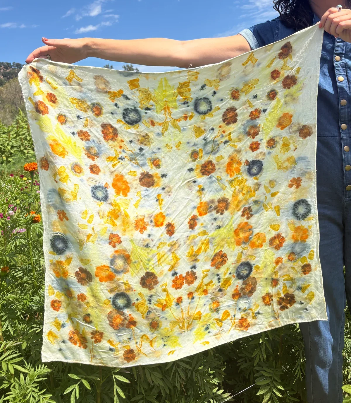 Eco-printing on Silk with Monica Medeiros