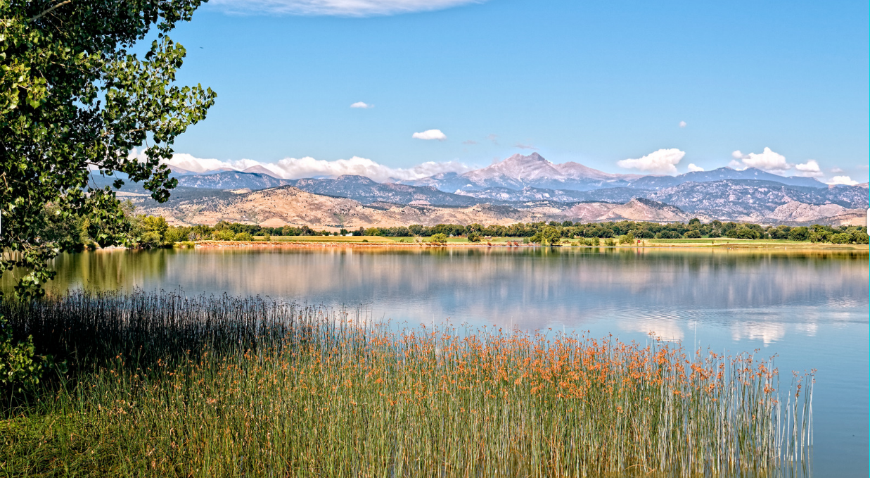 Longmont Neighborhood Spotlight: McIntosh Lake