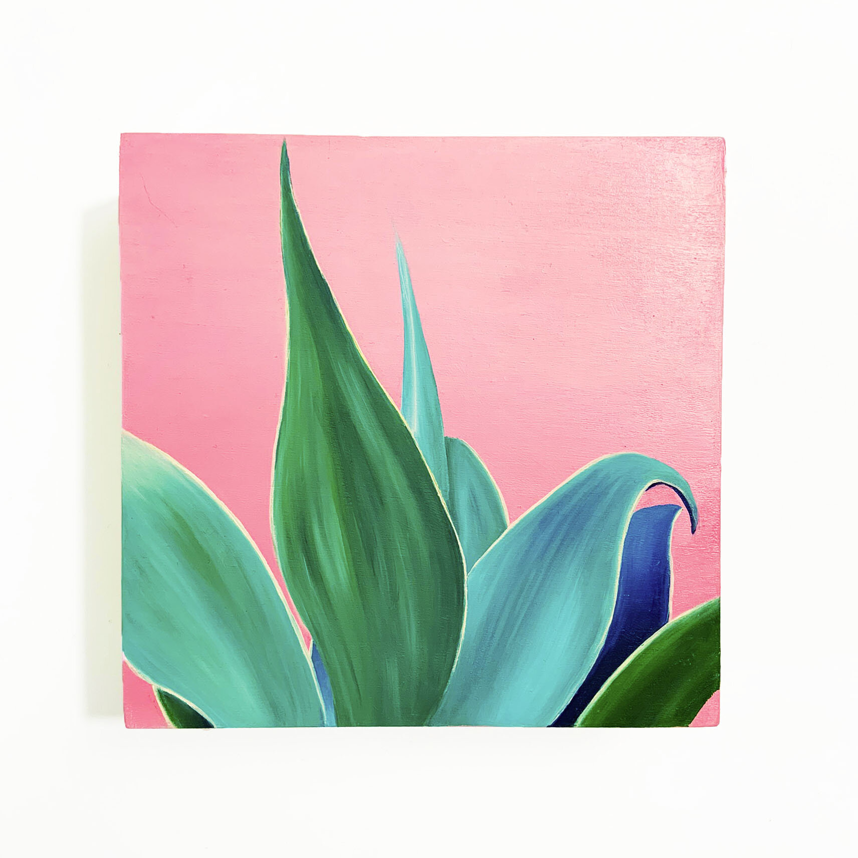 small cactus.jpeg