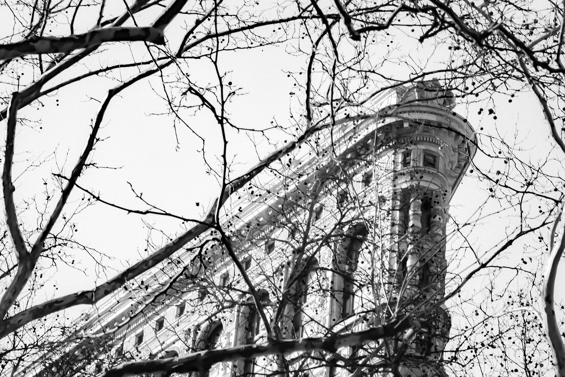 flatiron black small strong .jpg