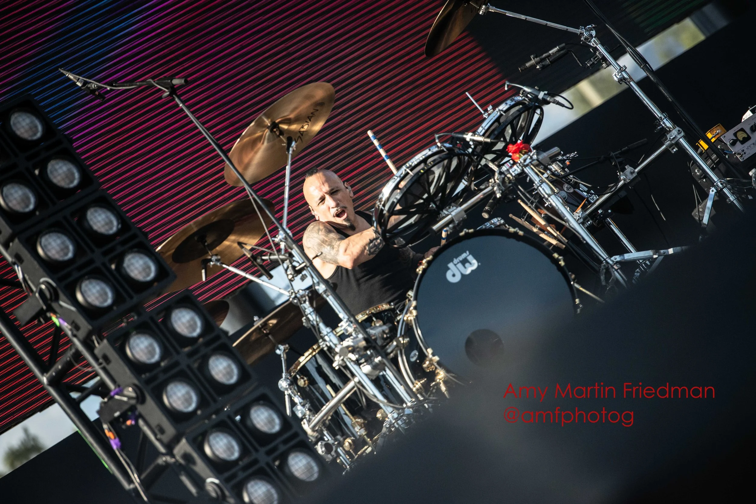 _AMF8169 copy.jpg
