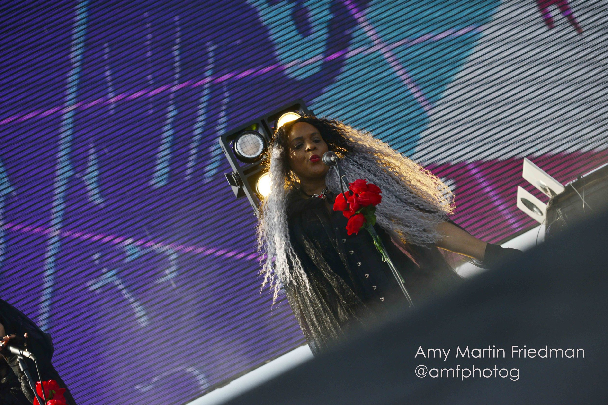 _AMF7966 copy.jpg