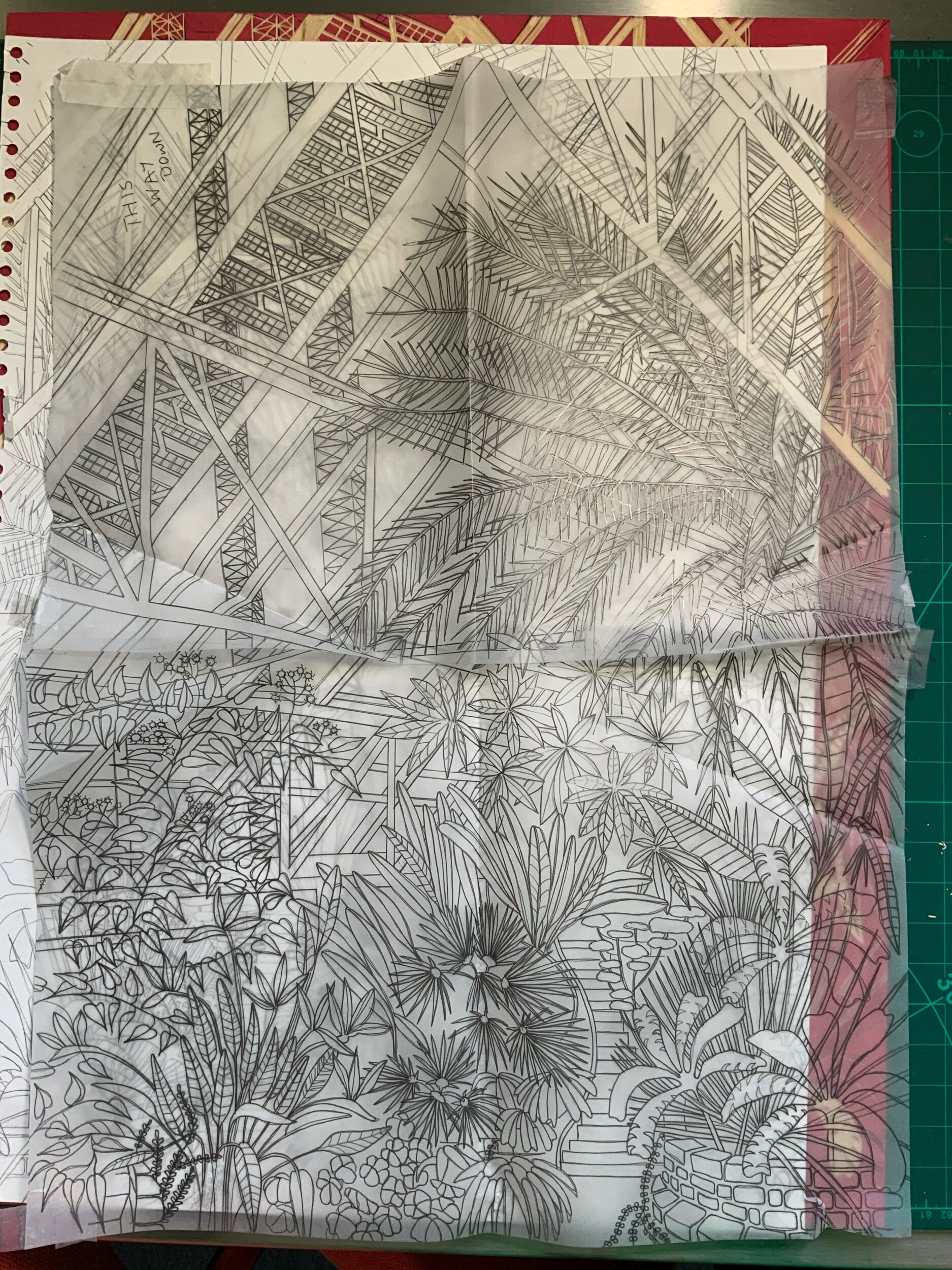 Drawing traced and reversed ready for transfer