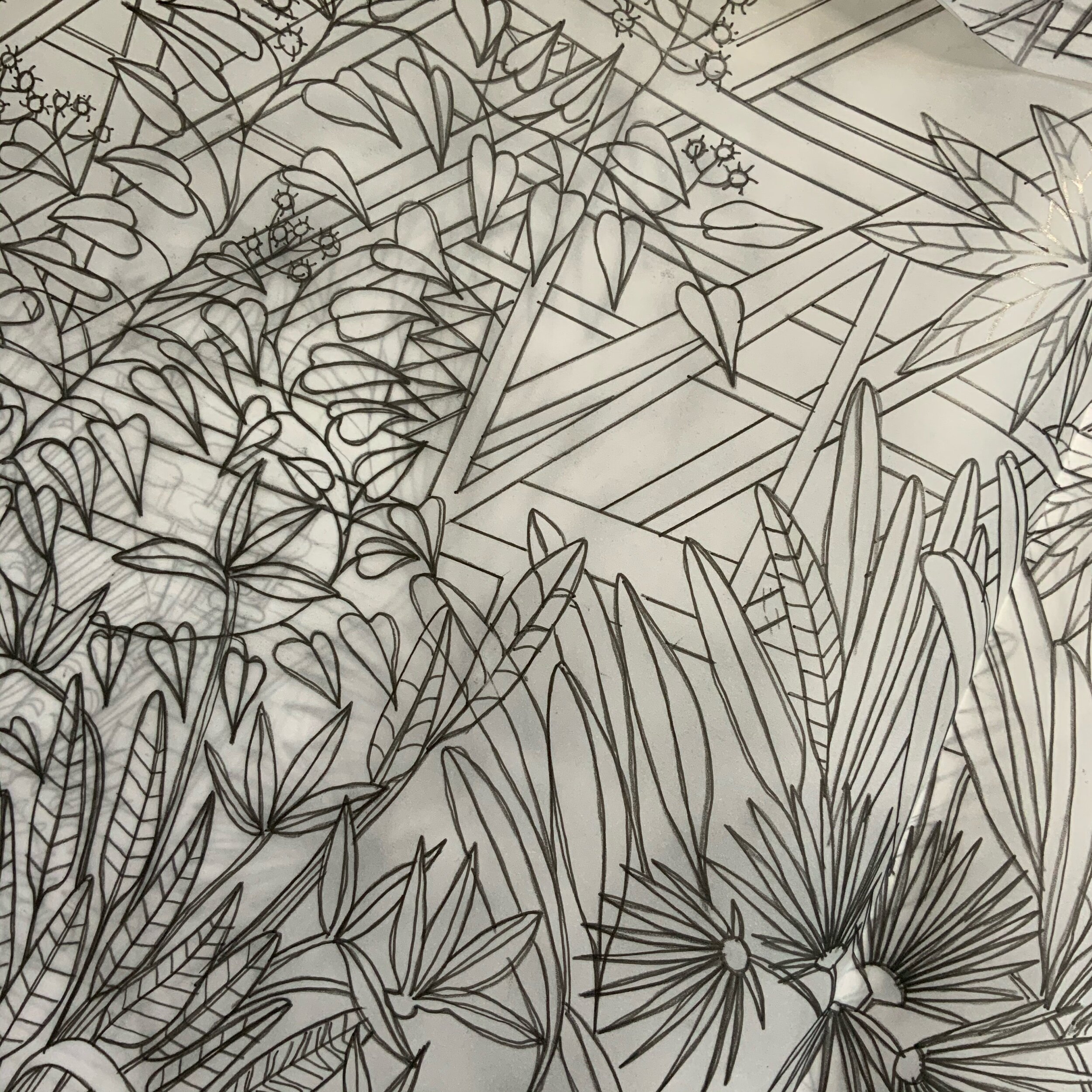 Drawing close up