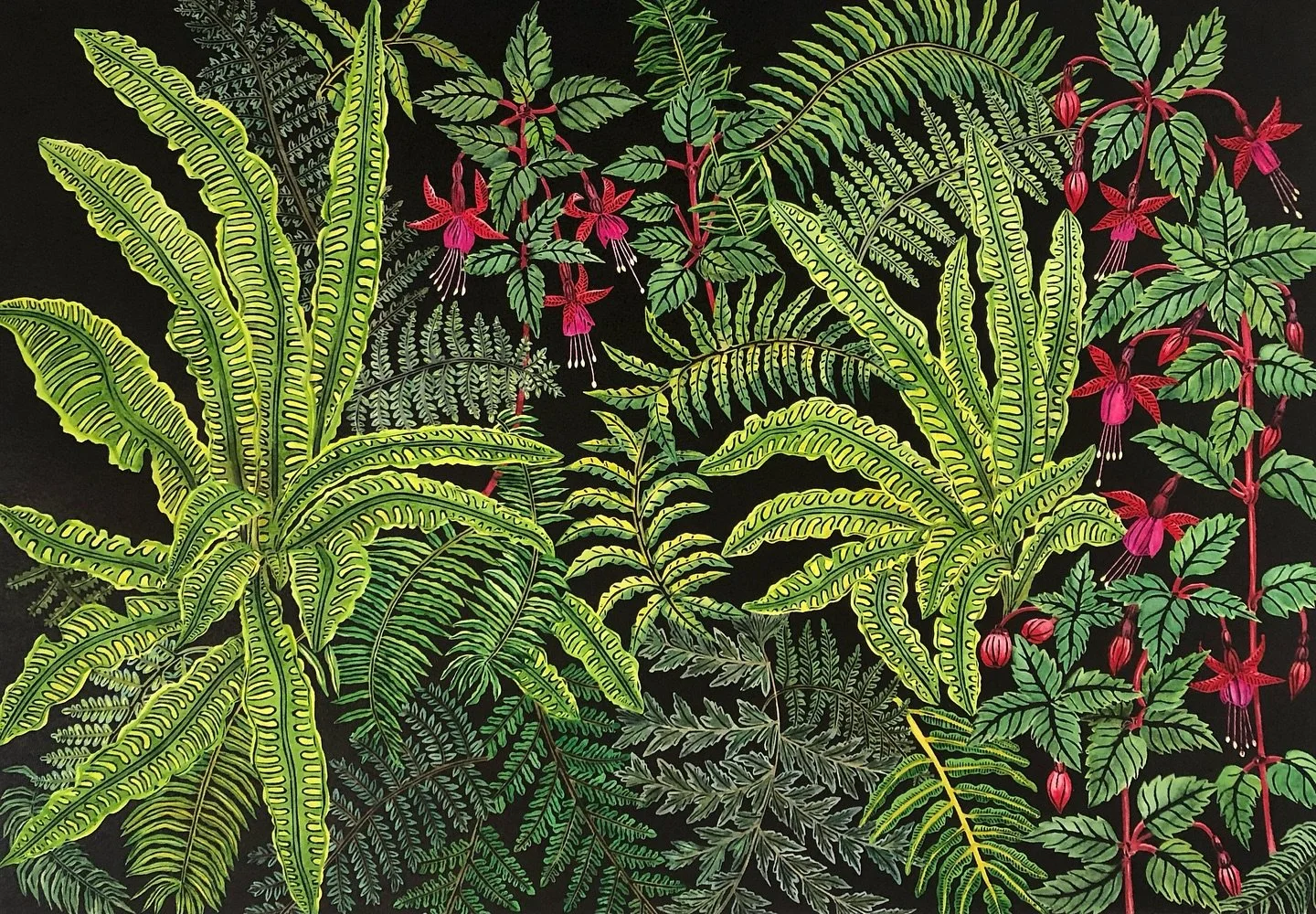 Delighted to have two of my prints - Ferns and Fuchsias and Winter Garden selected for the Society Women Artists 164th annual exhibition in June at The Mall Galleries, London. 
It is always such a beautiful exhibition, do visit @swainfo for all detai