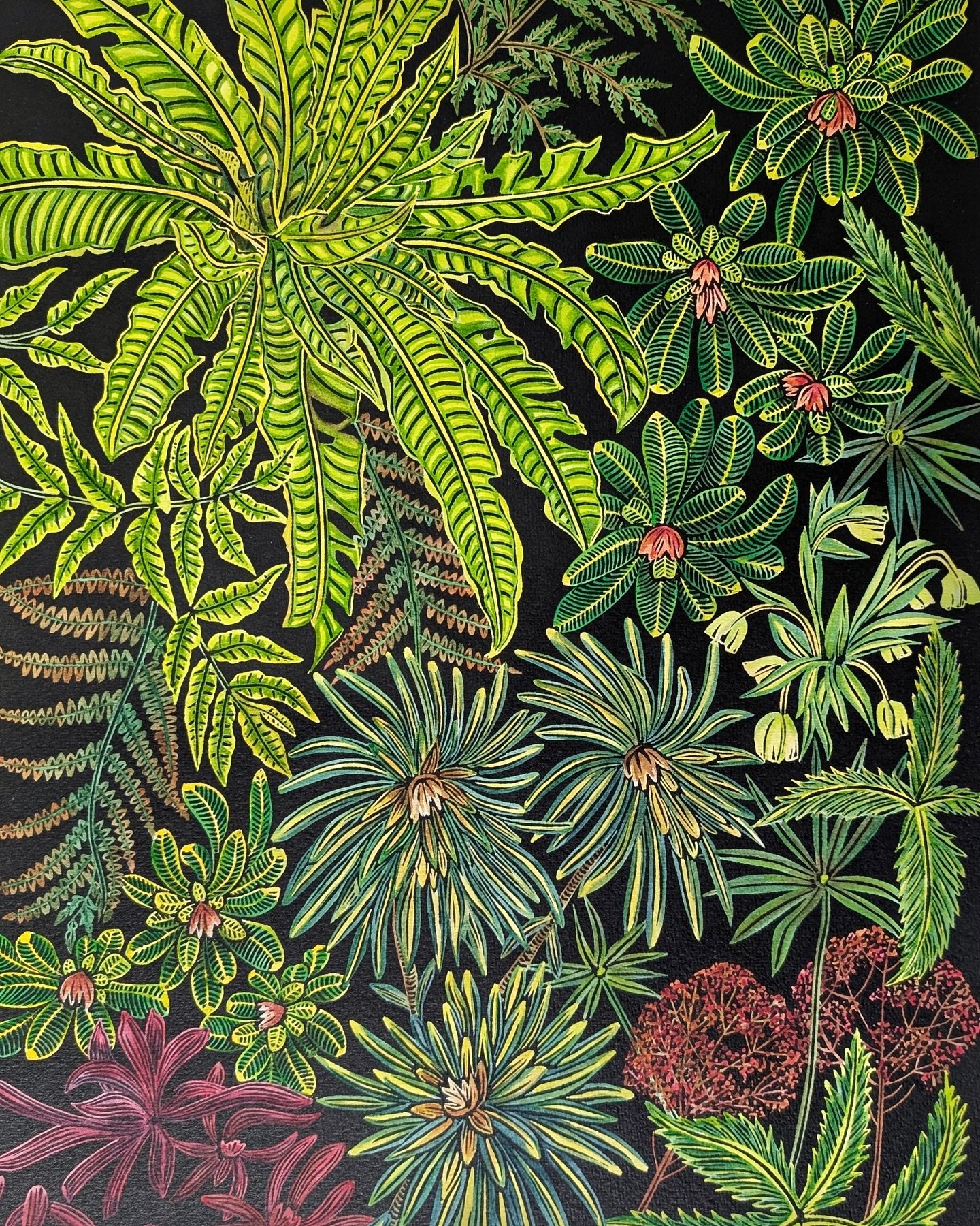 Just finished this one, no title yet but it is my garden a couple of weeks ago so &lsquo;Winter Garden&rsquo; 😊 
This is a linocut printed on Somerset Textured paper with oil based ink, painted with watercolour.
Waddya think 😀
Thank you to @essdee_