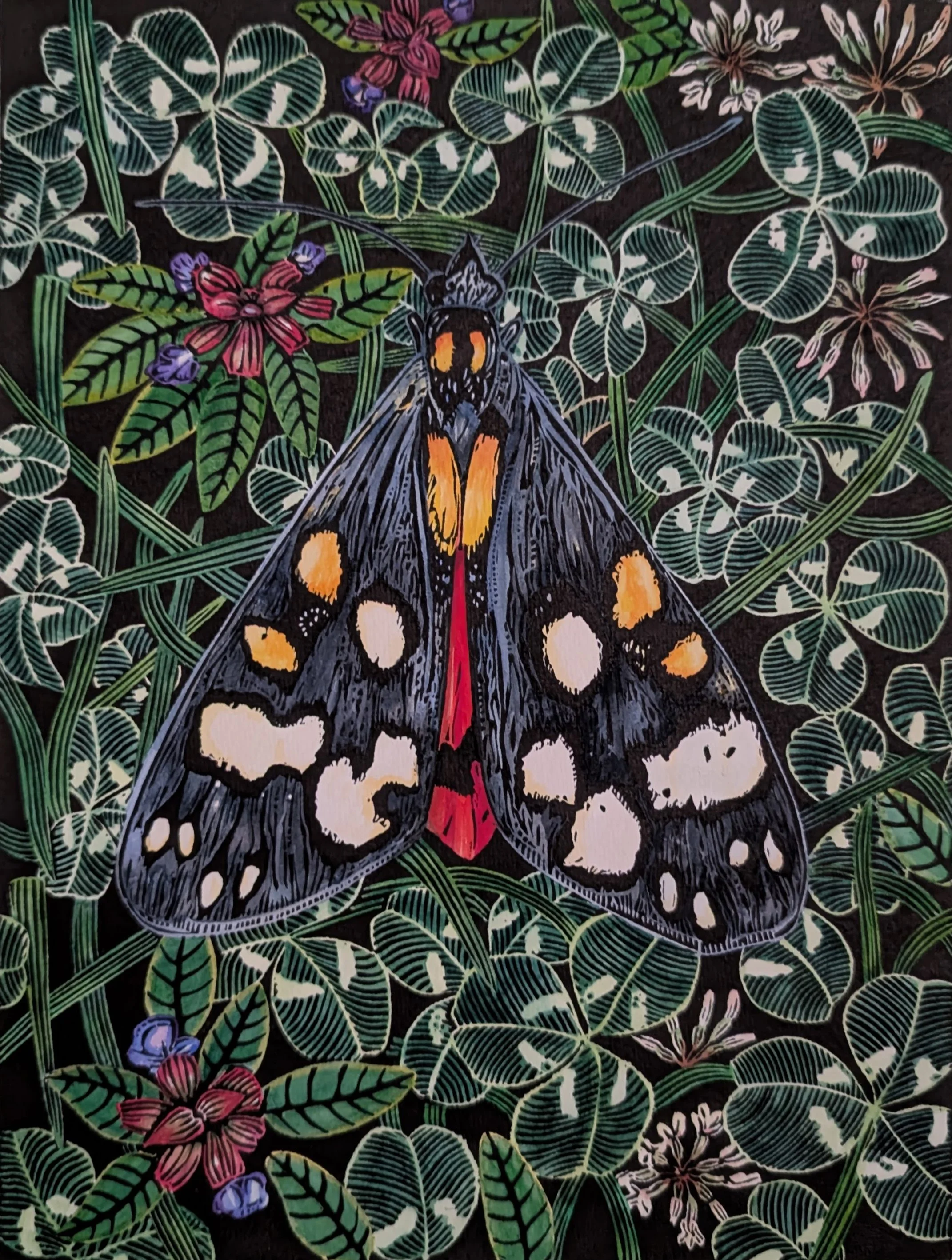 Scarlet Tiger