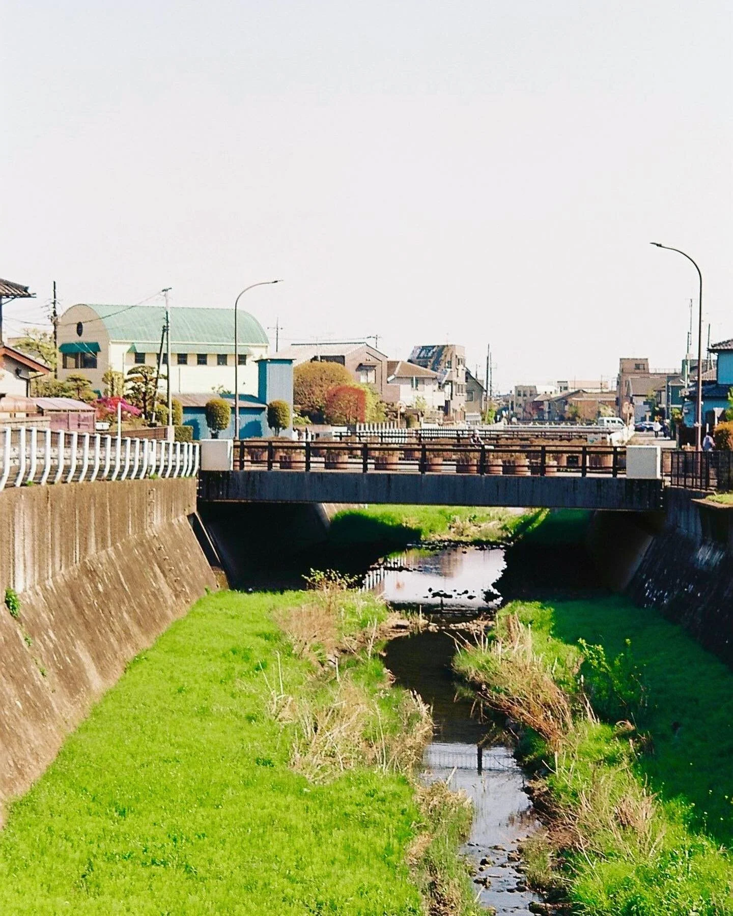 the place where wishes come true, on film 🌟