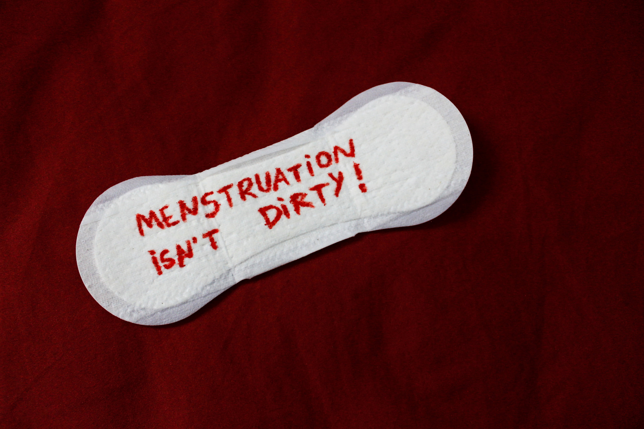 Menstruation 101