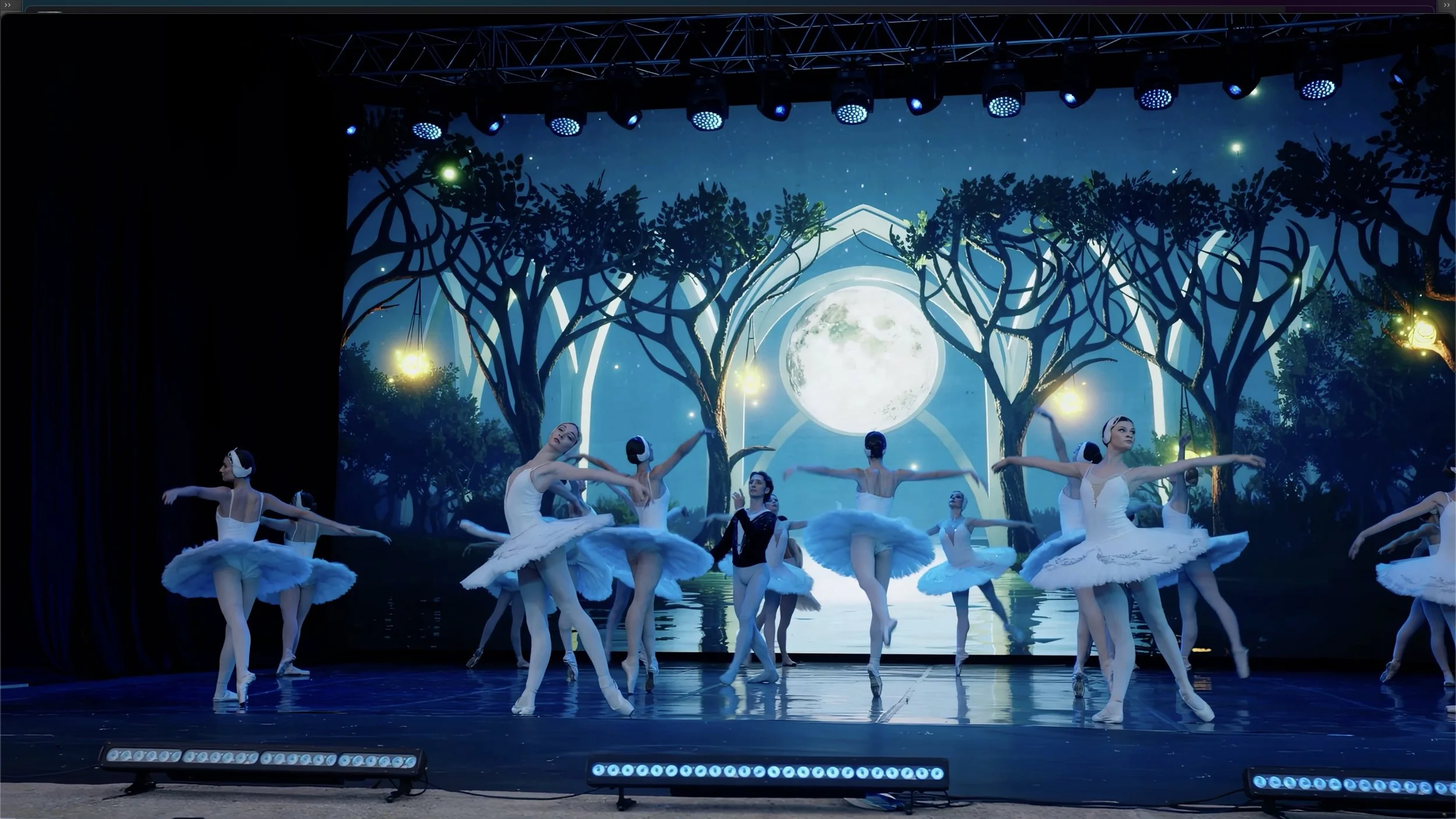 SwanLake_01.jpg