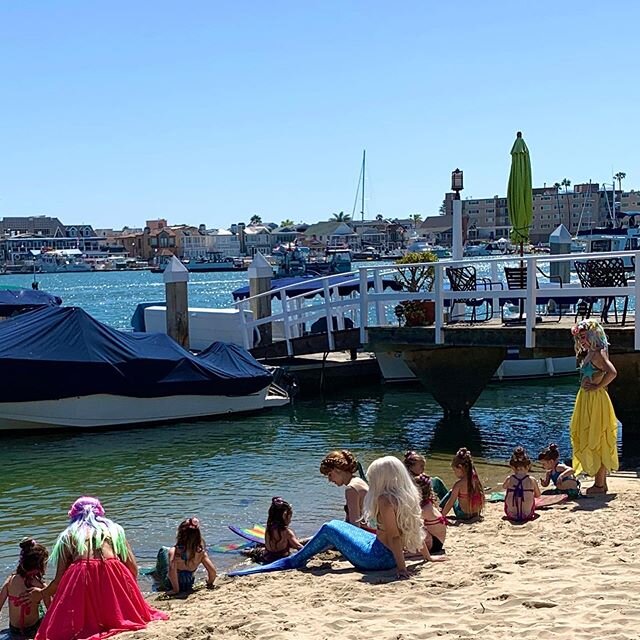 Mermaid party at the end of my street. They are so darn cute!! #mermaid #mermaids #cute #balboaisland