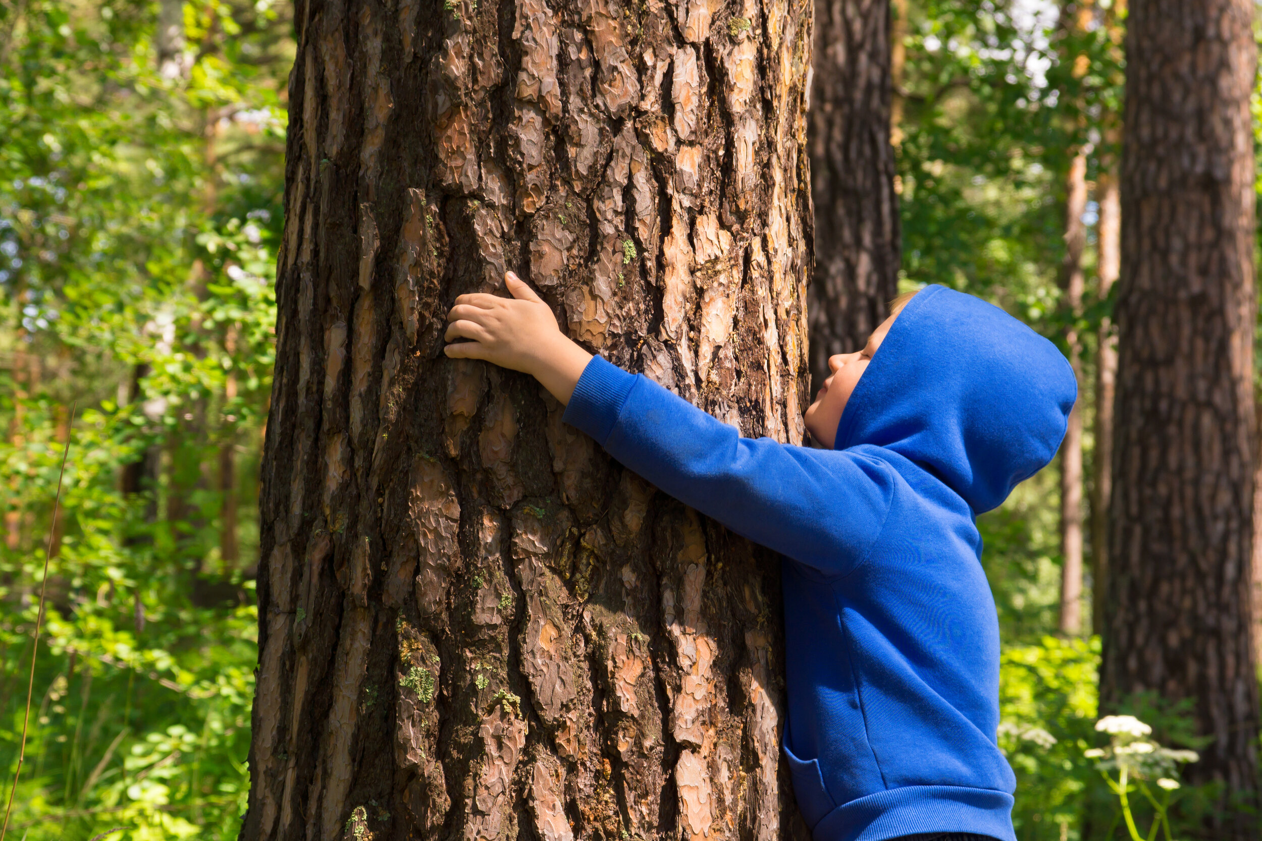 Get Grounded guided visualisation