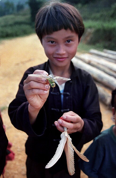 vietnam:boy with locust.jpg