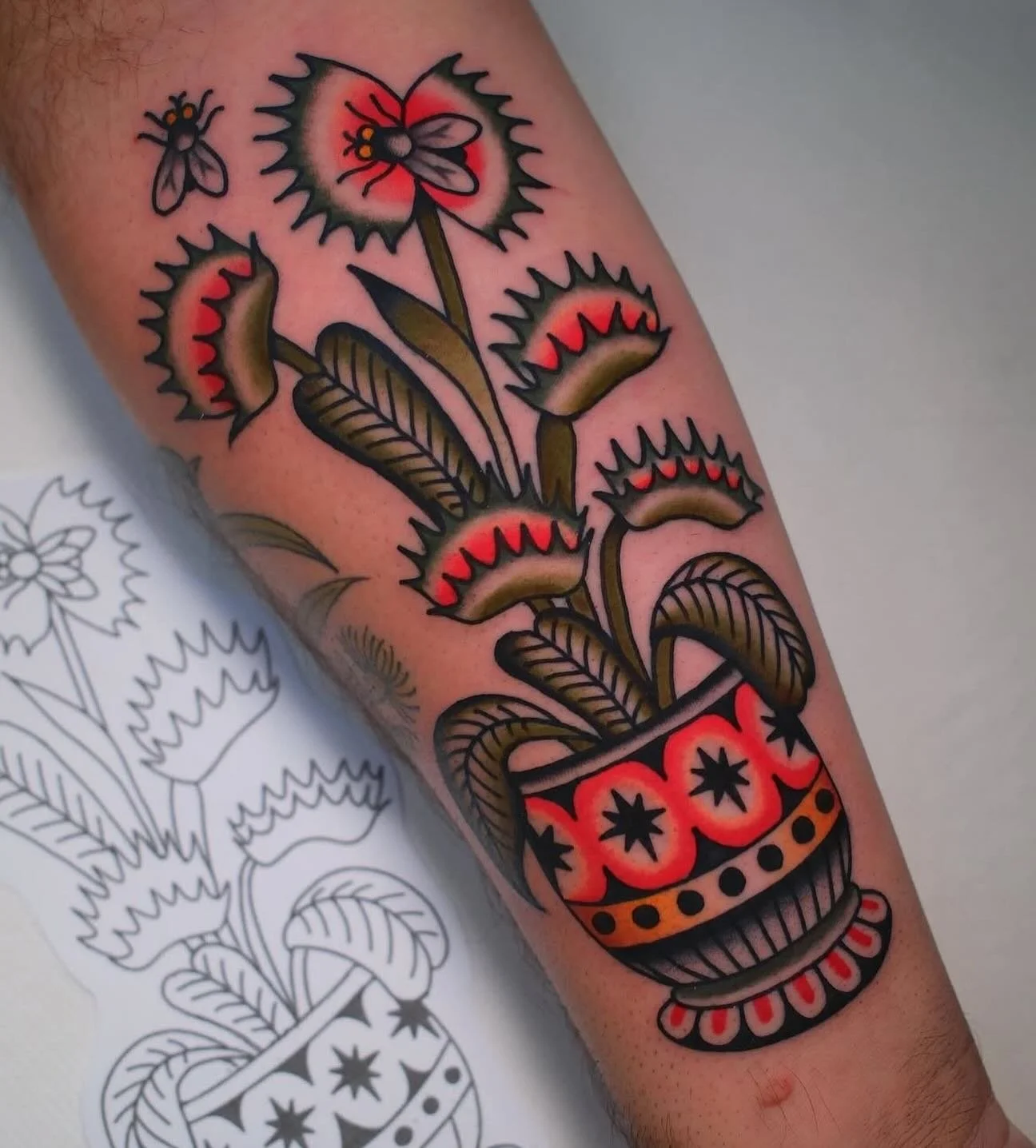 Venus flytrap by @moira.ramone