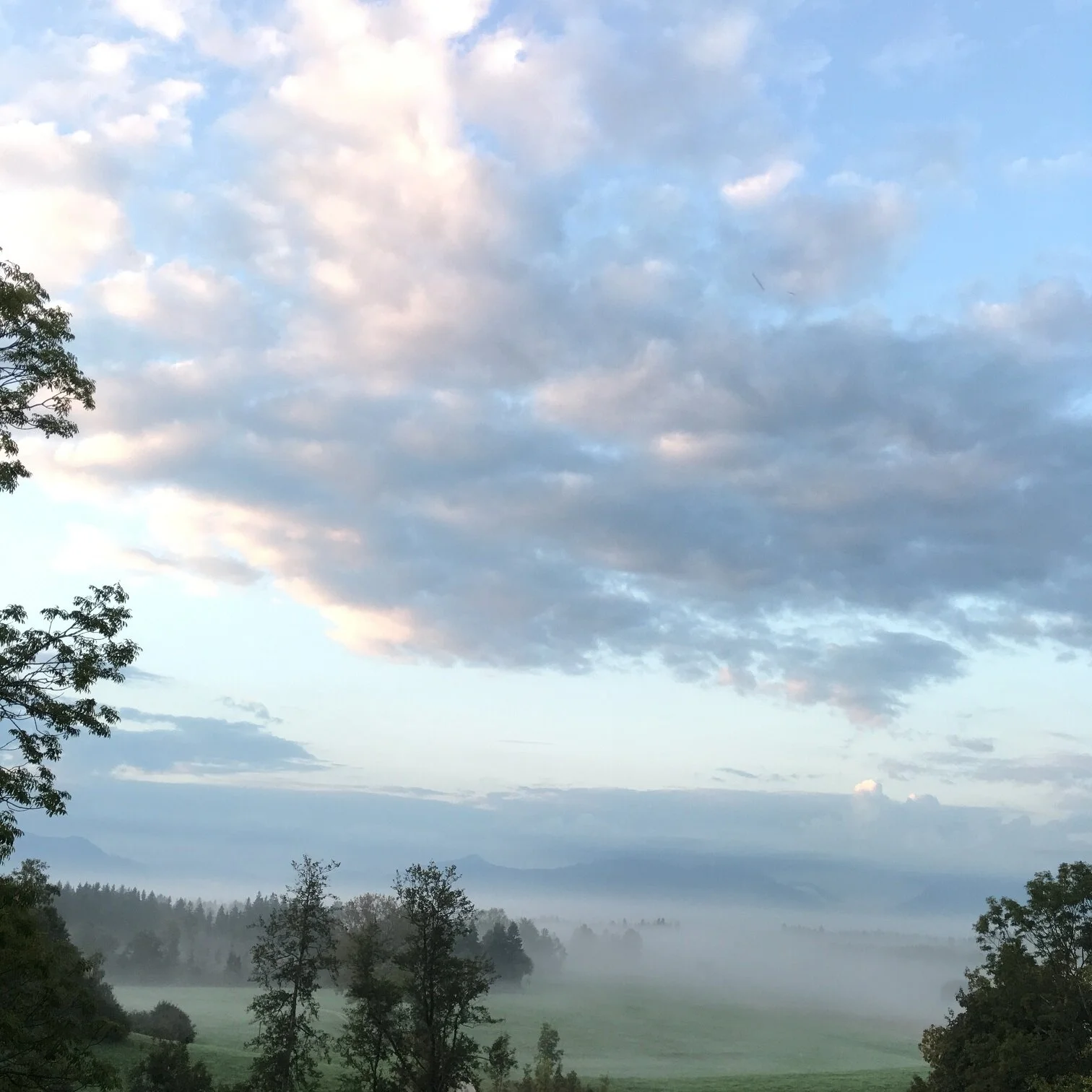 Yoga in der Windschnur