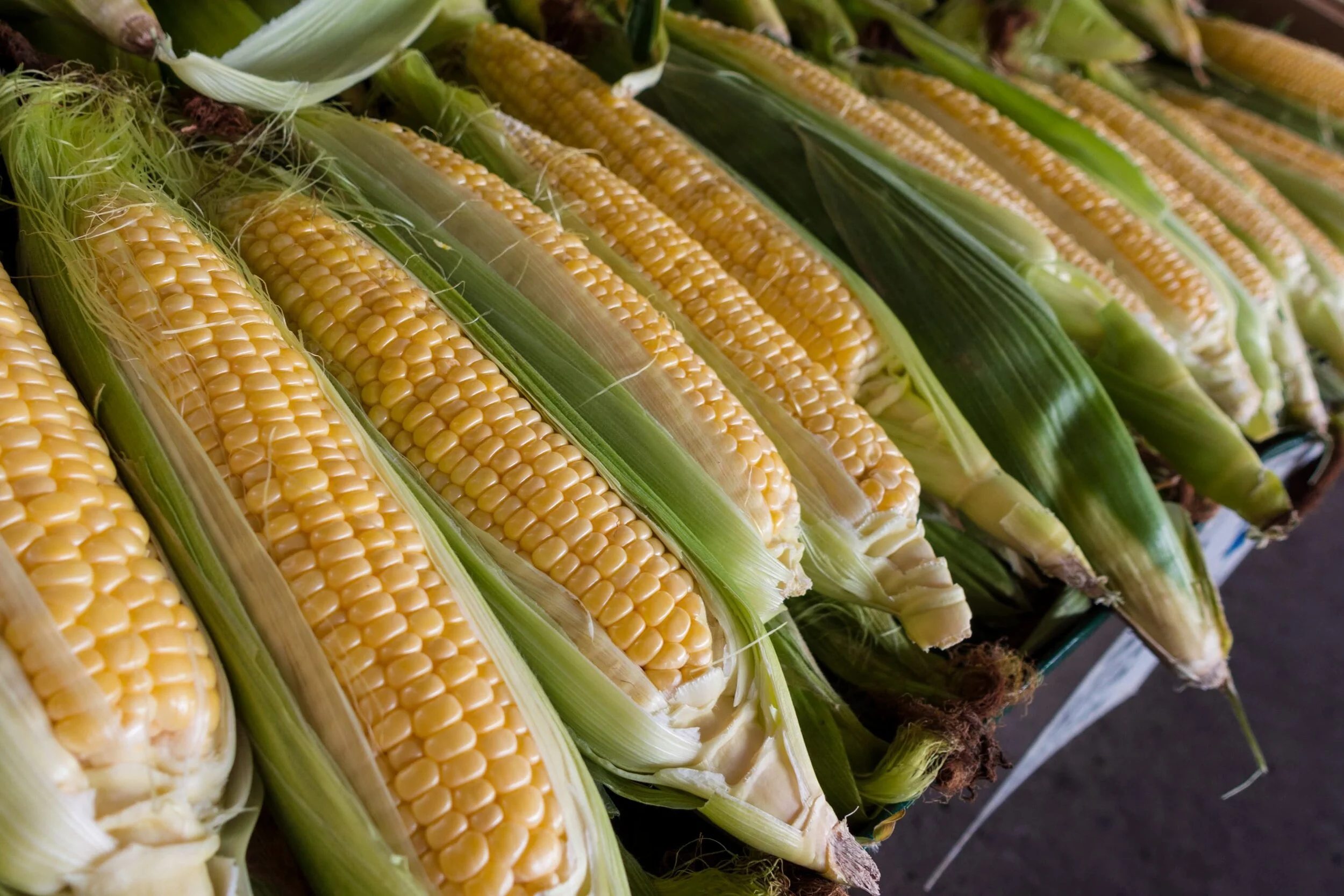 Fresh Local Sweet Corn