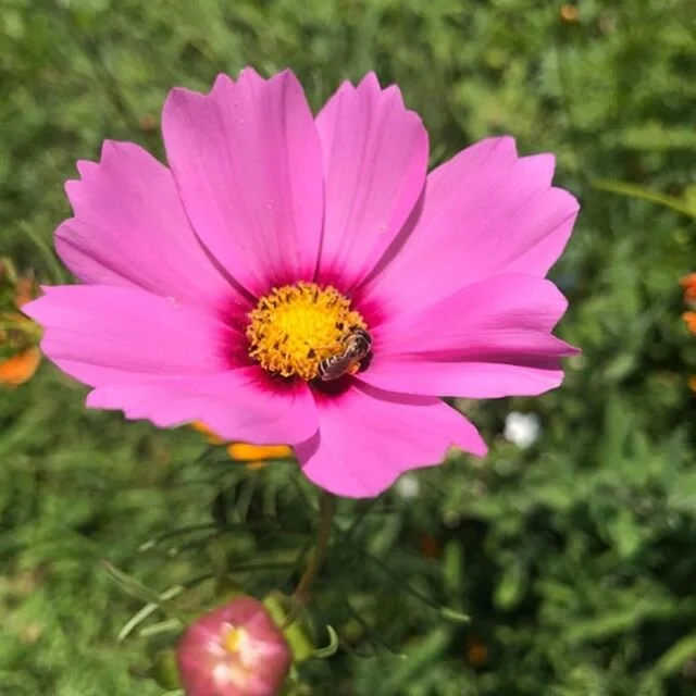 Happy Mother&rsquo;s Day to all you mama&rsquo;s and caregivers out there. And the biggest of all to our life giving mama, mama earth. You can give back to her and all of us by doing something small but has substantial impact and that is to simply pl