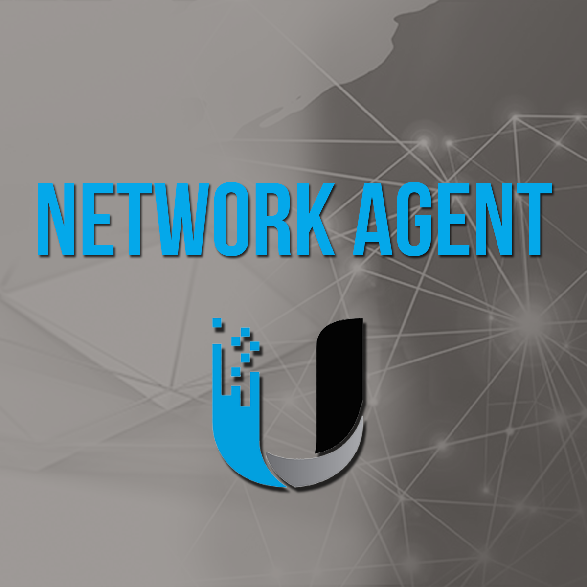Network Agent.png