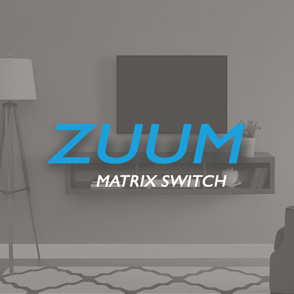 Zuum Matrix Switch.png