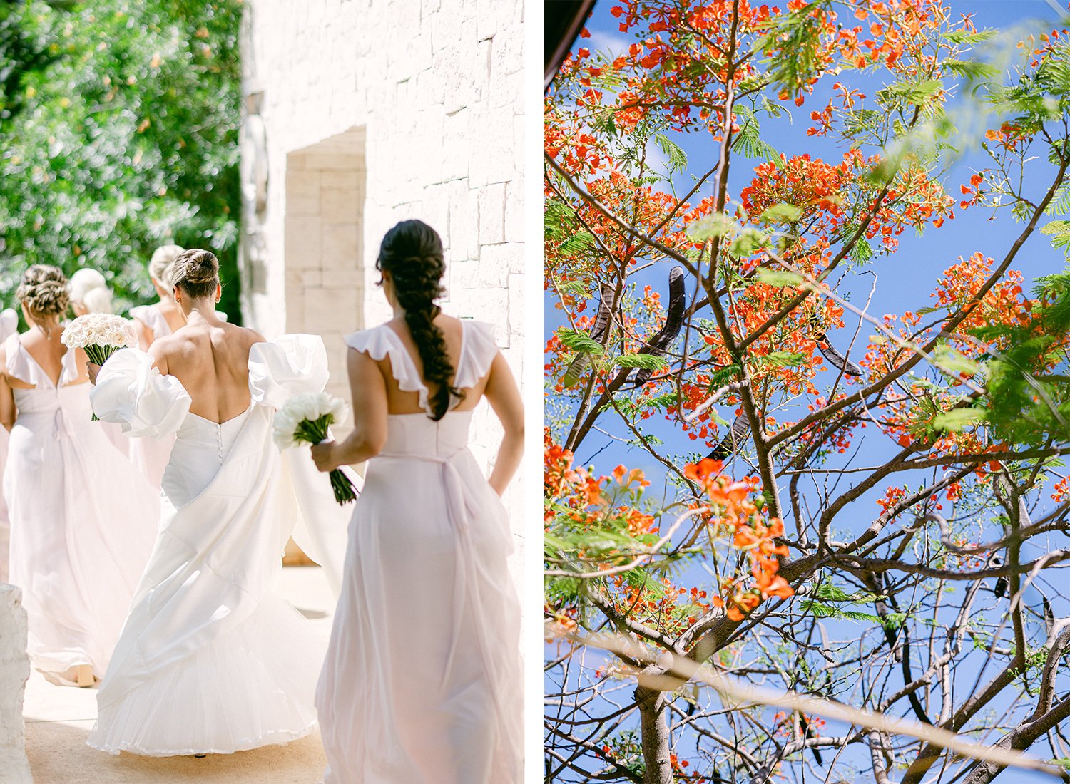 23 bride in white wedding dress walking with bridesmaids and nature detail photo of trees with orange flowers above bride and groom first look before their wedding at Dreams Riviera Cancun.JPG