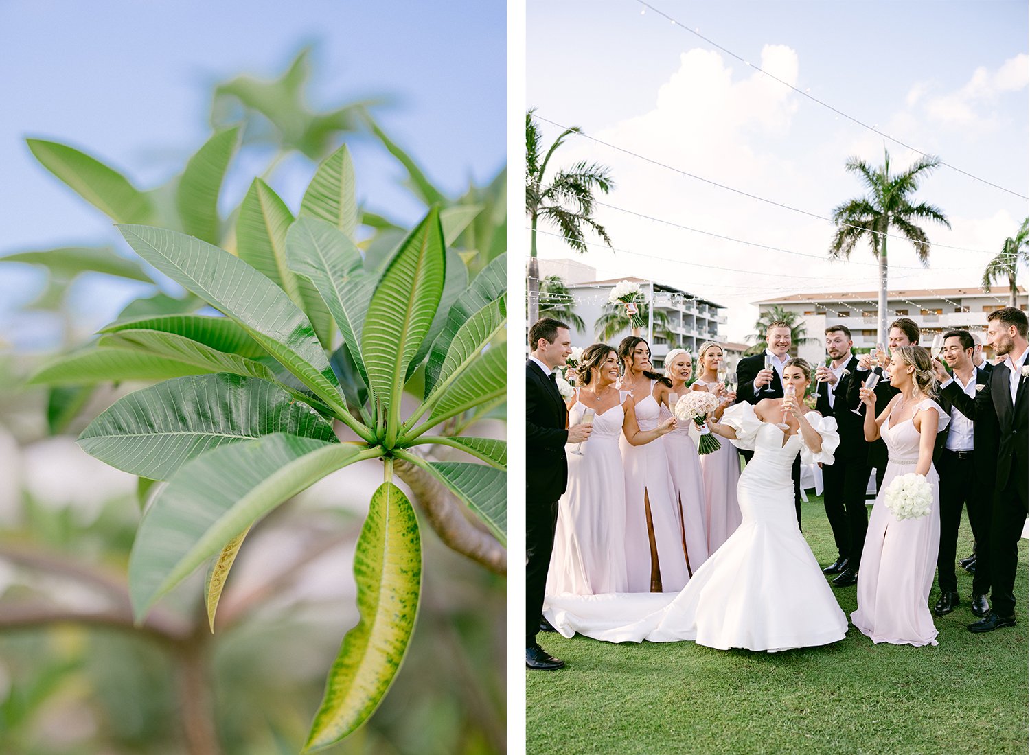 35 detail photo of tropical leaves next to wedding ceremony and lovely photo os bride and groom celebrating with groomsmen and bridesmaids drinking champagne at Dreams Riviera Cancun.JPG
