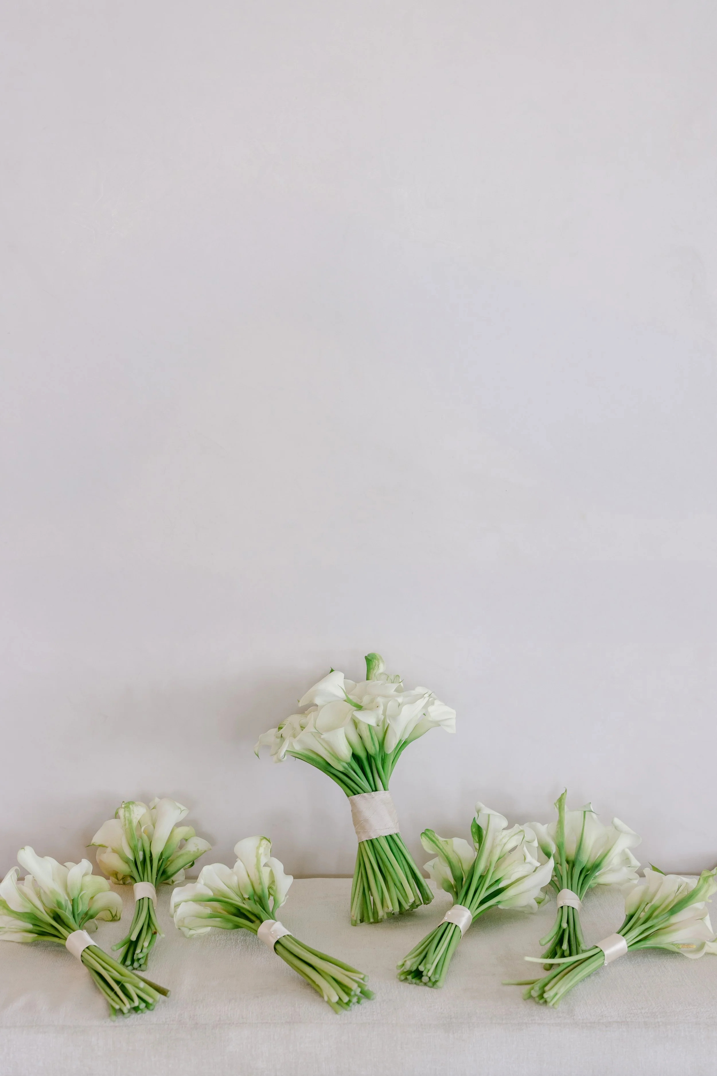 776A7359.jpg