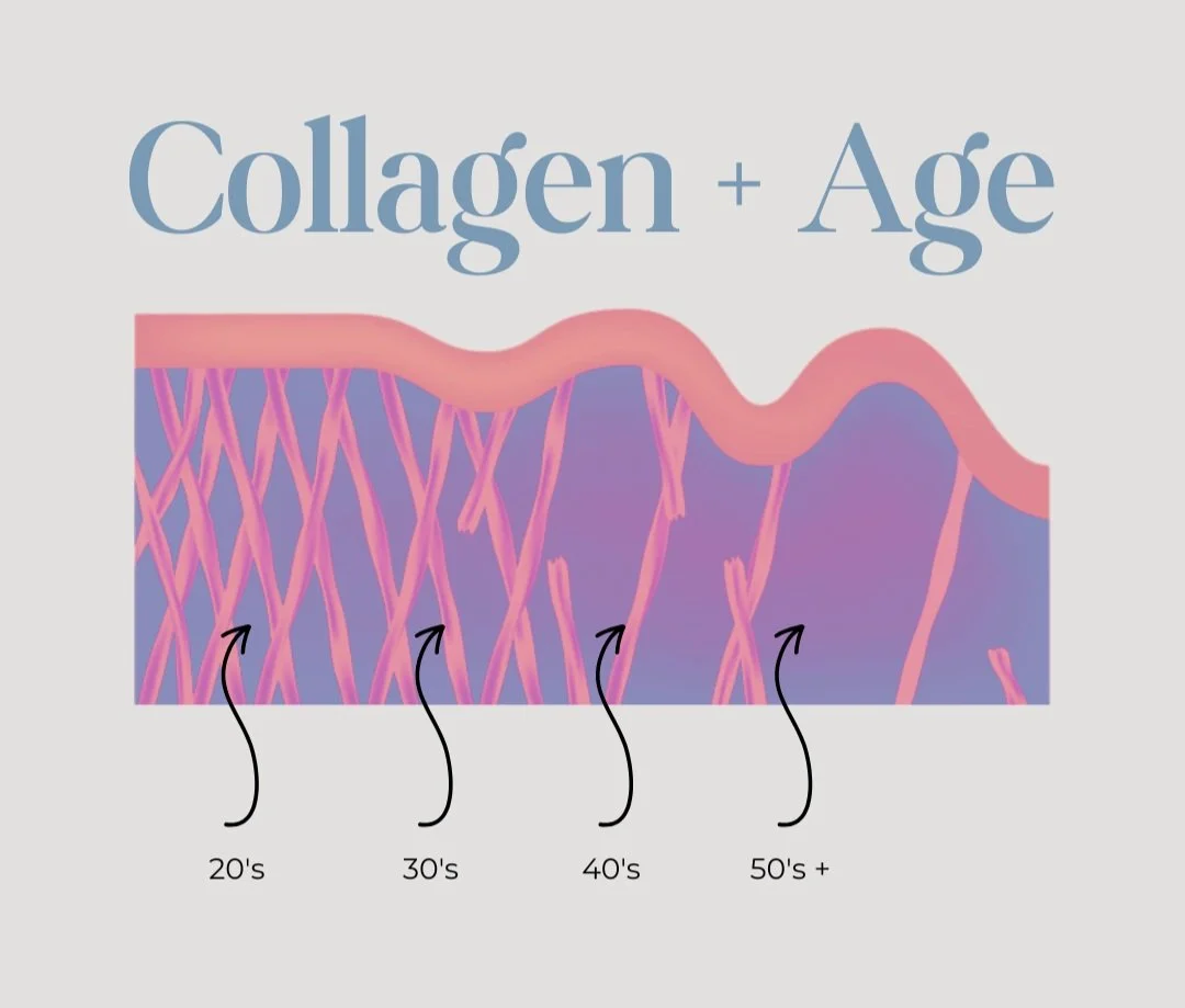 The importance of collagen for skin