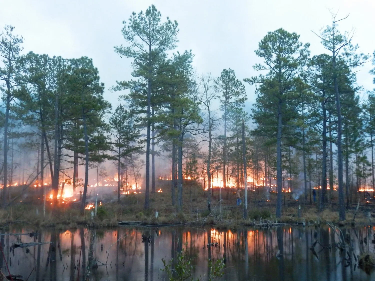 Cumberland County Burn