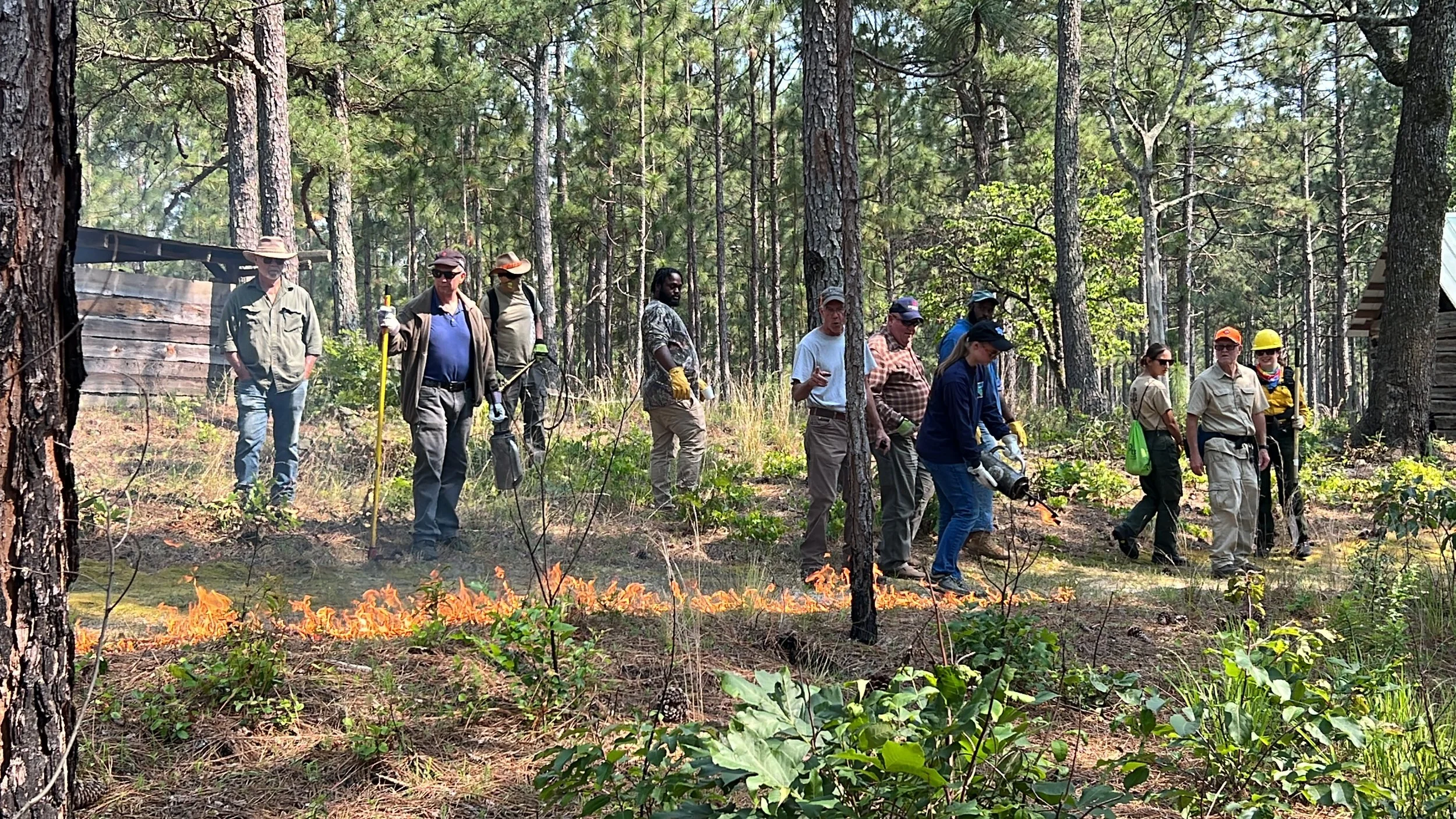 Learn &amp; Burn: Piedmont