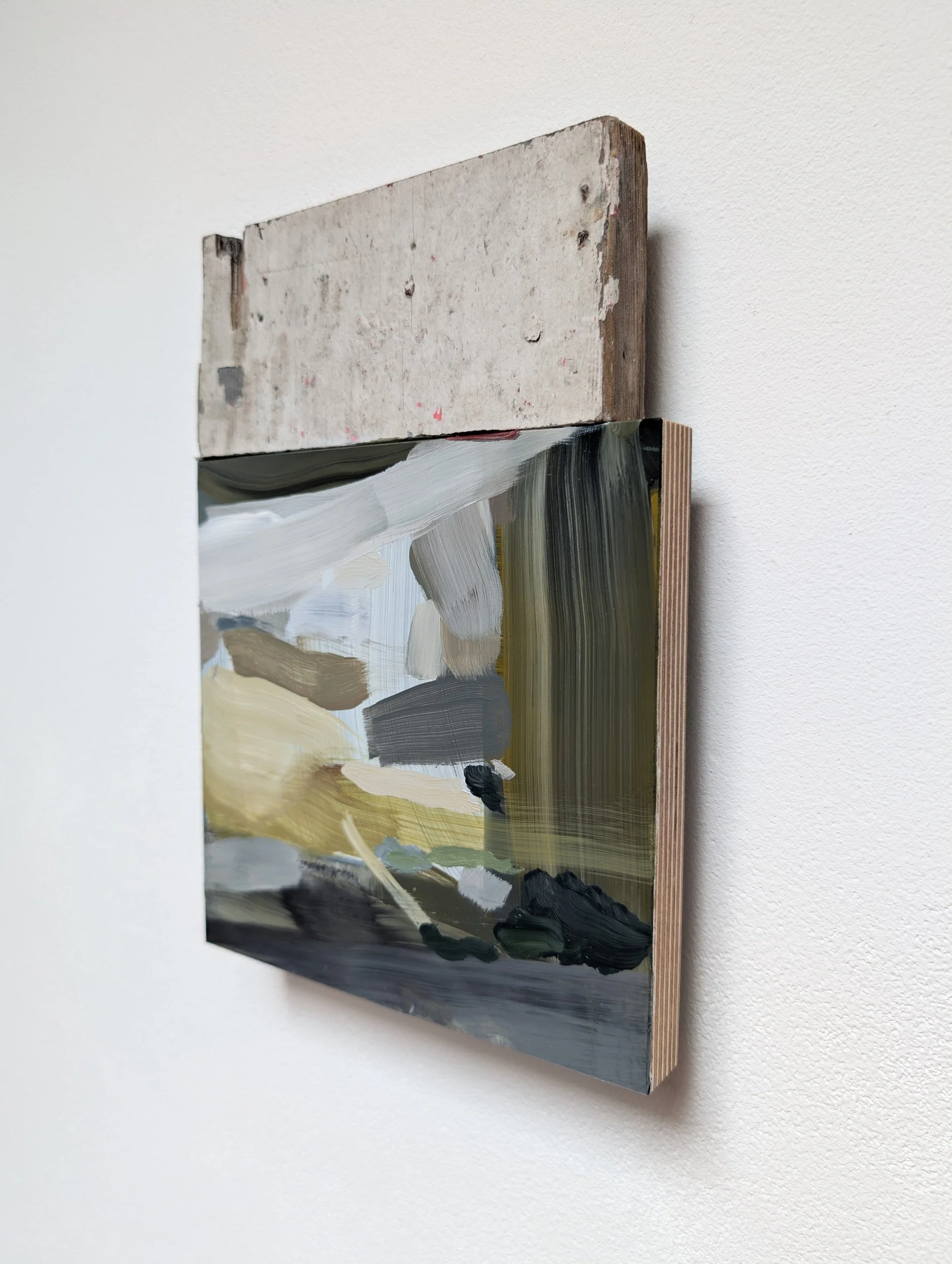 Wicklow Mountains (from right)