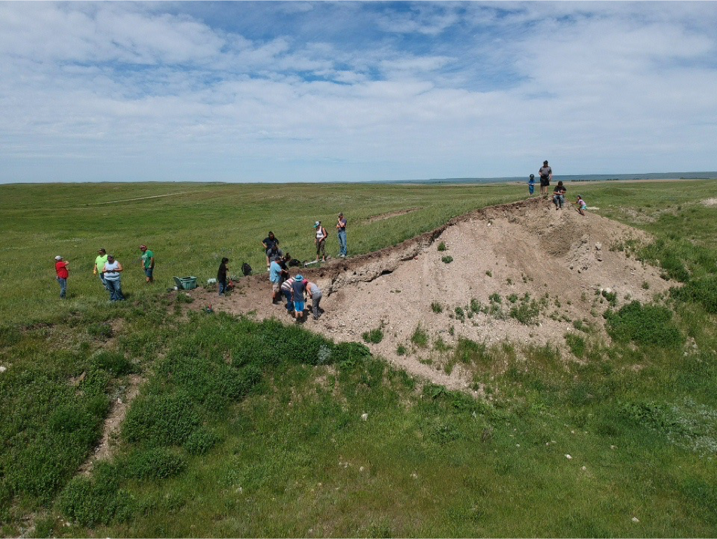 Photo 6 - Interns soil dig.png